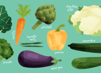 Les 10 légumes de saison à consommer en Août